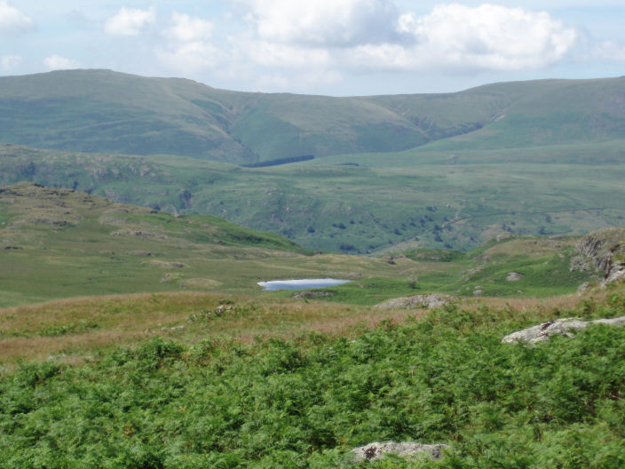 Whin Rigg & Illgill Head Whin Rigg & Illgill Head